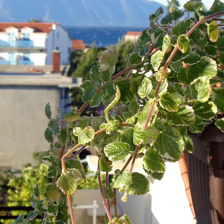 Raueiser Apartament